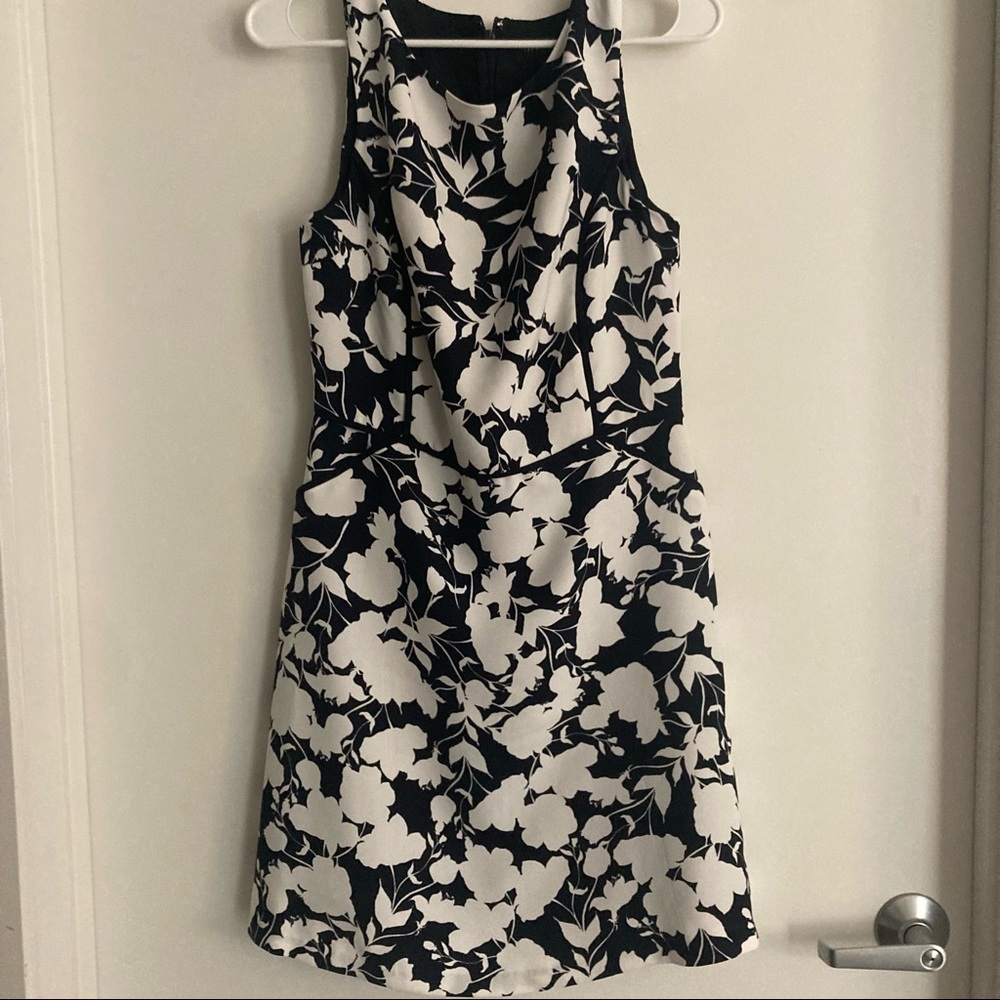 The Limited Navy and White dress. Size 4.